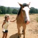Roanoke horseback riding thumbnail