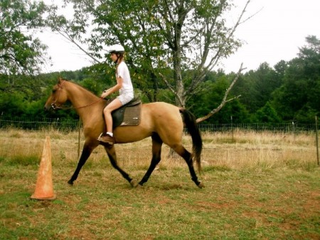 Roanoke horseback riding lessons