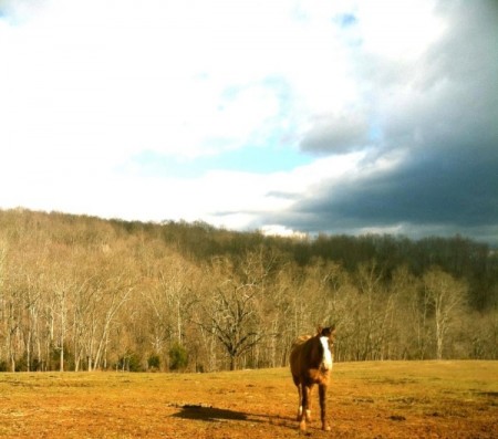 horseback riding Lynchburg