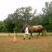 Lyncbhurg horseback riding lessons thumbnail