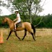 Roanoke horseback riding lessons thumbnail
