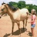 horseback riding lessons Roanoke thumbnail