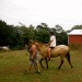 horseback riding lesson Lynchburg thumbnail