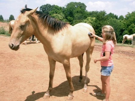 horseback riding lessons Roanoke