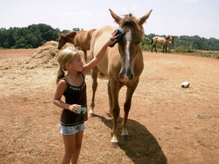 Moneta VA horseback riding