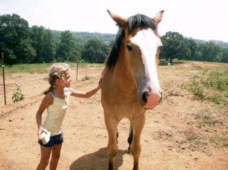 Roanoke horseback riding