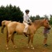 horseback riding Smith Mountain Lake thumbnail