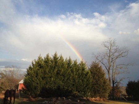 Moneta VA horseback riding