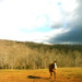 horseback riding Lynchburg thumbnail