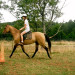 Roanoke horseback riding lessons thumbnail