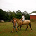 horseback riding lesson Lynchburg thumbnail