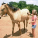 horseback riding lessons Roanoke thumbnail